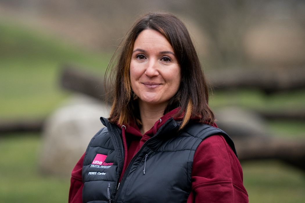 ACCÉLERATEUR DE POTENTIEL